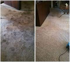 san luis obispo carpet cleaning