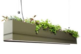 Bridge Suspended Lights From Greenworks Architonic