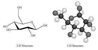 carbohydrates proteins lipids