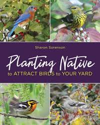 planting native to attract birds to
