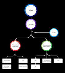 Organization Chart Suh Motors Science Corp