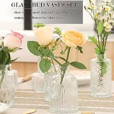 Glass Bud Vase Set Of 20 Small Vases