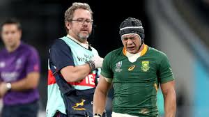 We would like to show you a description here but the site won't allow us. Springboks V Wales Rugby World Cup Semifinal Teams Cheslin Kolbe Injury Blow