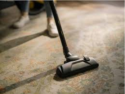 carpet cleaning needs