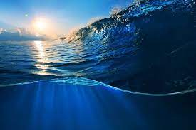 Untitled Sea Water Nature Sun