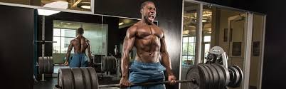 your bodybuilding workout routine