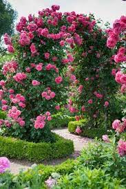 Imagenes De Jardines Con Flores Hermosas