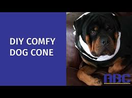 diy comfy dog cone how to make a