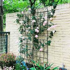 86 7 In Black Metal Garden Trellis