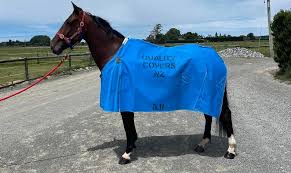 quality covers canvas horse covers