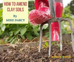 How To Amend Clay Soils Black Gold