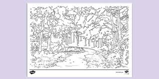 Nature Colouring Page For Kids