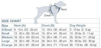 Tru Fit Smart Dog Walking Harness