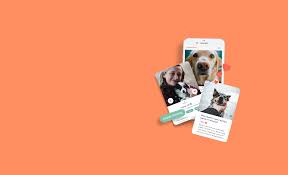 How to socialize a puppy with other dogs. Pawsitive Is A Streaming Service For Dog Care Videos