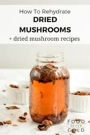 rehydrate dried mushrooms recipes