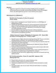 Ideas Collection Business Intelligence Resume Objective Business