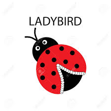 Lady bird has such a sweet face. T Shirt Typography Graphic With Ladybird And Lettering Lady Bird Royalty Free Cliparts Vectors And Stock Illustration Image 129682017