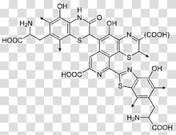 organic chemistry oxytocin molecule