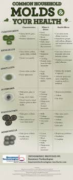 Common Household Mold And Your Health Infographic