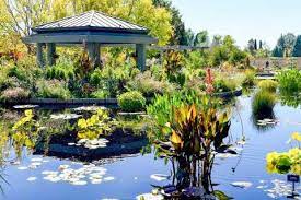 the best denver botanic gardens