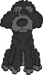 Image result for portuguese water dog clipart
