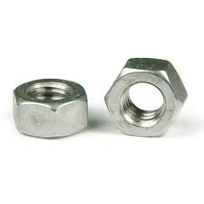 Image result for images for two nuts