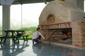 My Brick Oven Fireplace Cook Food And