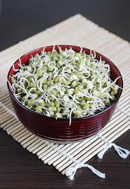 Mung Bean Sprouts How To Make Sprouts Green Gram Sprouts