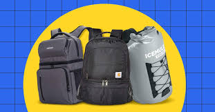8 best insulated cooler backpacks for