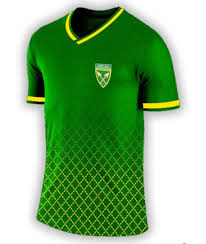4.8 out of 5 stars 186. Golden Arrows Fc 2020 21 Home Kit