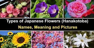anese flowers hanakotoba names