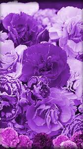 purple flowers live wallpaper for
