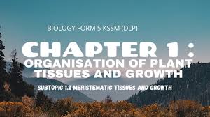 Candidates answer on the question paper. Biology Form 5 Kssm Chapter 1 Subtopic 1 2 Youtube