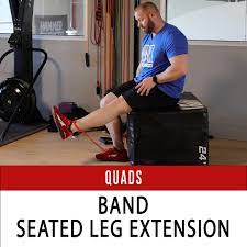 home workout exercises quads n1 training