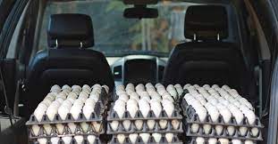 why does my car smell like rotten eggs