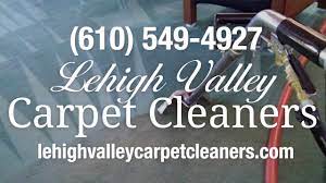 carpet cleaners carpet cleaning in