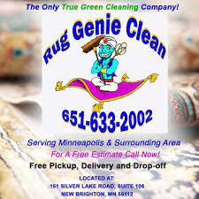 rug genie clean closed 151 silver