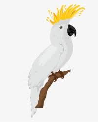 Mau membuat sketsa gambar burung lovebird? Sketsa Gambar Burung Lovebird Hd Png Download Transparent Png Image Pngitem
