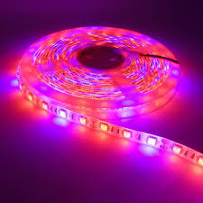 16 4ft 5m Led Grow Lights Strip Full Spectrum Seed Starting Indoor Plant Growing For Sale Online