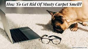 how to get rid of musty carpet smell