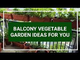 Balcony Vegetable Garden Ideas For You