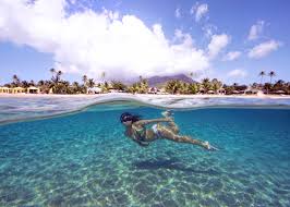 Image result for Caribbean sea