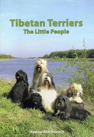 Contact the dog breeders below for tibetan terrier puppies for sale. Tibetan Terrier Puppies For Sale Adoptapet Com