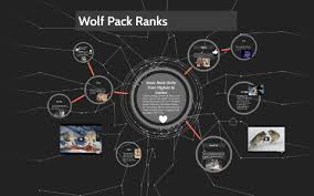 Wolf Pack Ranks By Captainflapjack Of The Syrup Ship On Prezi