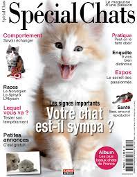 Special Chats 14 by Fabien Tourneur - Issuu
