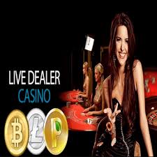 Therefore, i would say that any casino that tries to promote itself as a. Best Live Bitcoin Casino List 2021 Bitcoincasinosonly Com