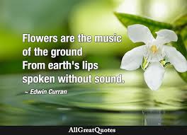 Seductive spring flower quotes that are about rose flower. Flower Quotes Allgreatquotes