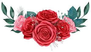 rose flower bouquet pngs for free