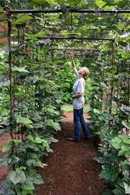 Whether you need more space to grow, one of your plants requires support, or you just want to add depth and dimension to your garden adding garden trellises to create a vertical garden is the way to go. 21 Best Diy Trellis Ideas For The Gardener In You Crazy Laura