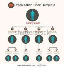 8 Best Org Charts Images Chart Organizational Chart